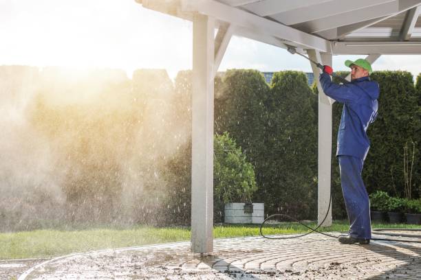 Best Gutter Cleaning  in Whitesburg, KY