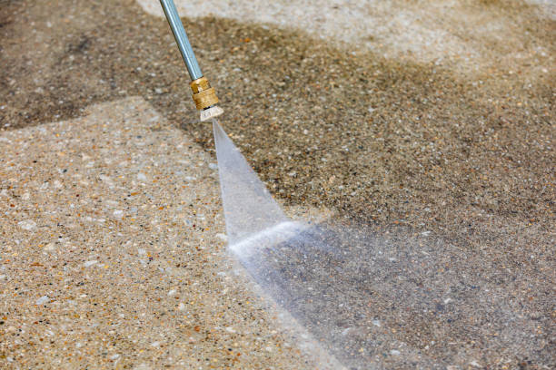 Best Animal Enclosure Cleaning  in Whitesburg, KY